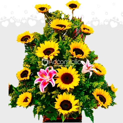 Girasoles Y Lirios A Domicilio En Cali 