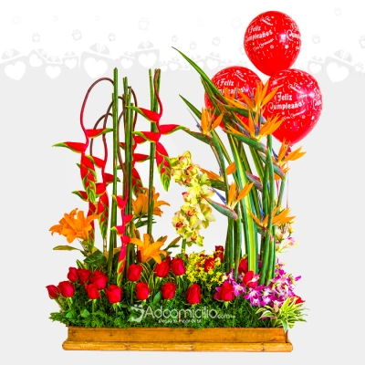 Rosas Con Orquídeas A Domicilio En Cali 