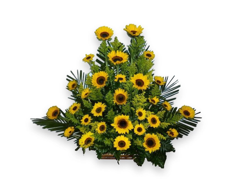 Arreglo Floral Pasión De Girasoles A Domicilio En Cali 