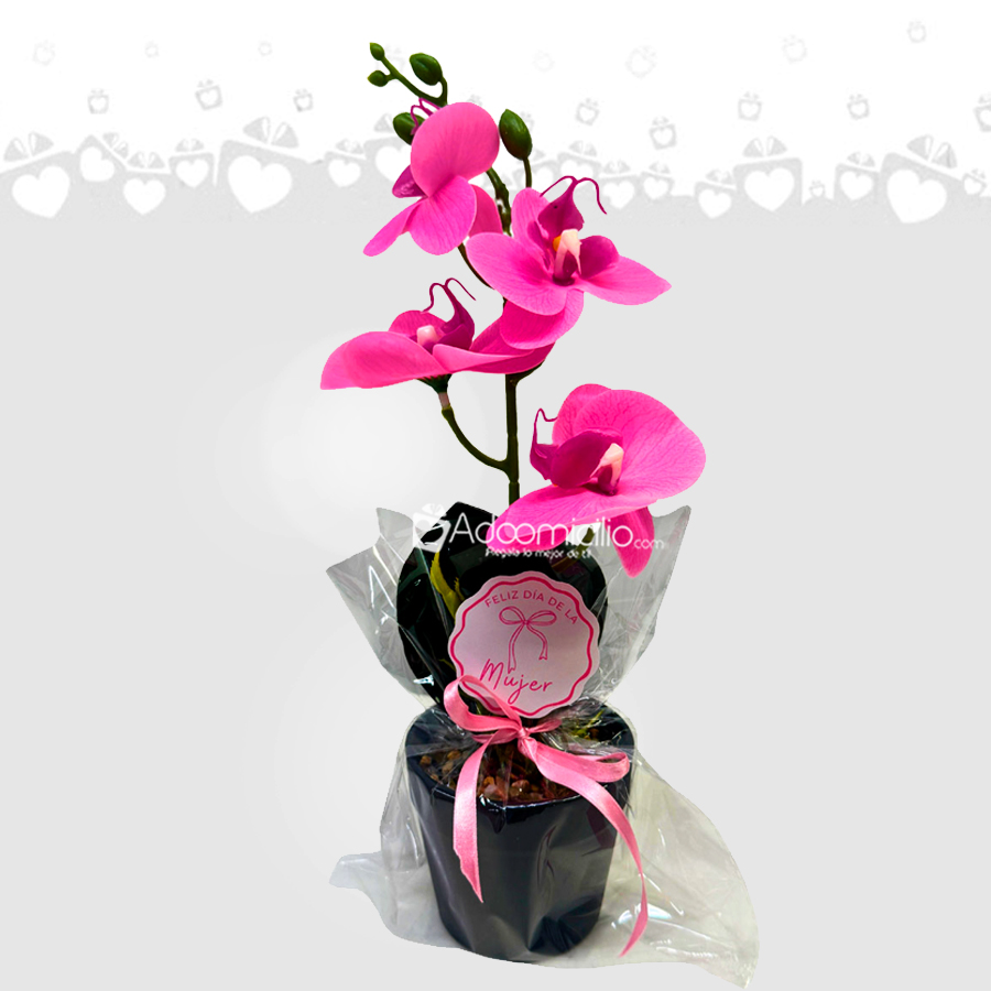 Orquídea Artificial Para El Día De La Mujer A Domicilio En Cali Pedido Con Un Día De Anticipación 