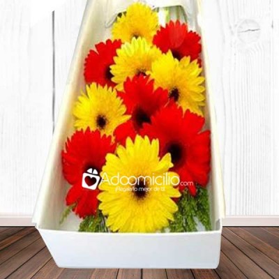 Flores Medellín Caja con Gerberas colores surtidos