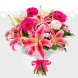 Bouquet De Lirios Rosados Y Flores Rosadas A Domicilio En Cali