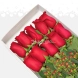 Caja De Rosas X10 A Domicilio En Cali 
