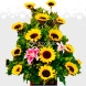 Girasoles Y Lirios A Domicilio En Cali 