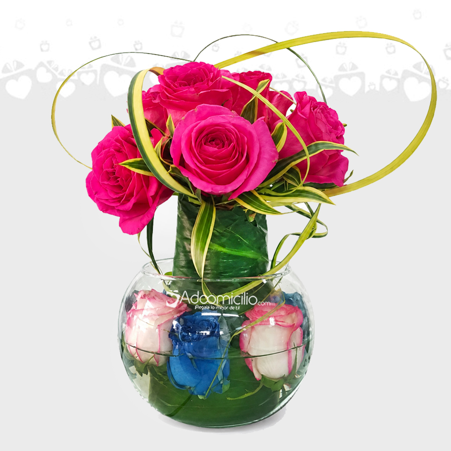 Regalos de amor y amistad a domicilio en Cali Cristal con 12 rosas