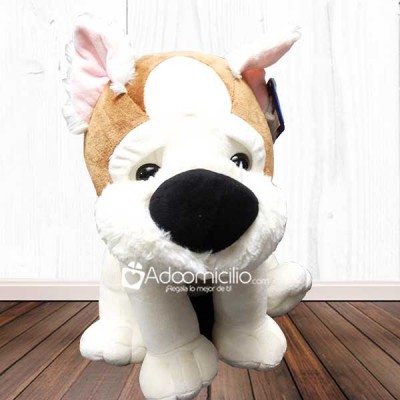 Peluches a domicilio en Cali Perro Amor