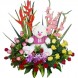 Jardinera Peluche Flores a domicilio en Cali