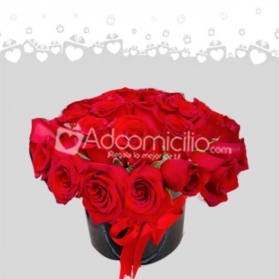 Regalos Dia De La Mujer Caja De Rosas x 24 A Domicilio En Cali