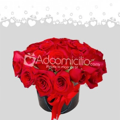 Regalos Dia De La Mujer Caja De Rosas x 24 A Domicilio En Cali