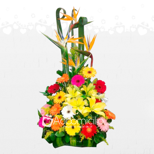 Tropical De Flores Arreglos Florales A Domicilio En Pereira