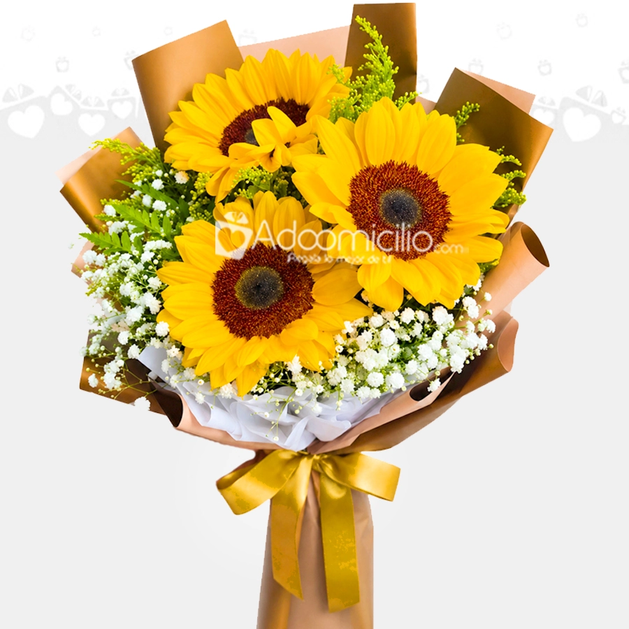Bouquet Con Girasoles A Domicilio En Barranquilla 