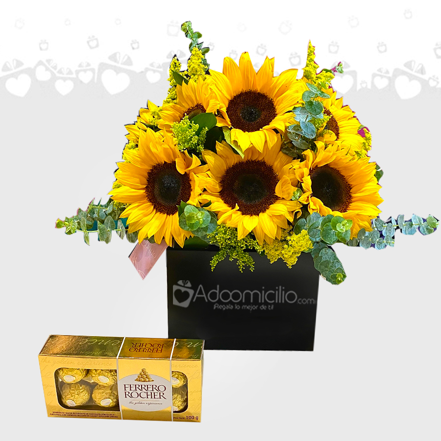 Girasoles Y Chocolates Para Enamorar A Domicilio En Bucaramanga 