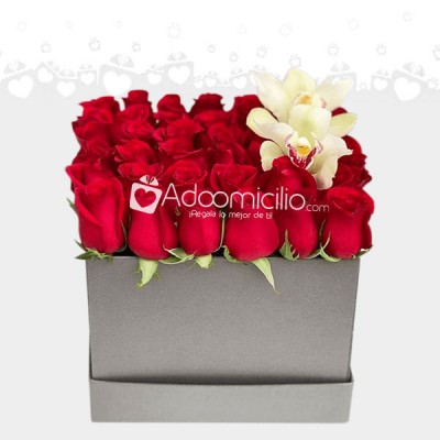 Caja de Rosas con Orquídeas Regalos a Domicilio en Villavicencio Pedido con un dia de Anticipación