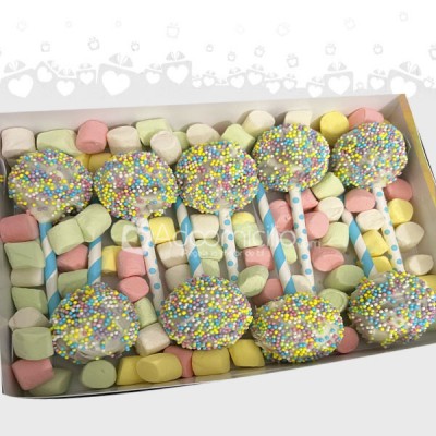 Cakepops encanto  Regalo de cumpleaños en cdmx
