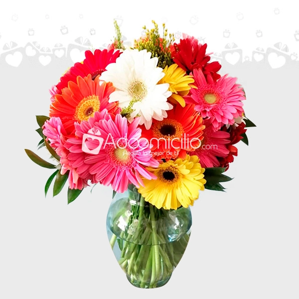 ARREGLO FLORAL DE GERBERAS CDMX