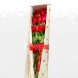 Arreglos Florales De Rosas A Domicilio En Bucaramanga Caja De Rosas x 12