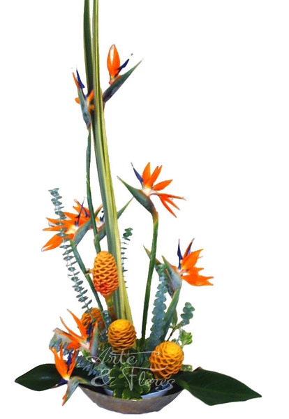 Flores Exóticas A Domicilio En Cali 